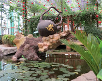 隆德县毛家沟生态农业观光园